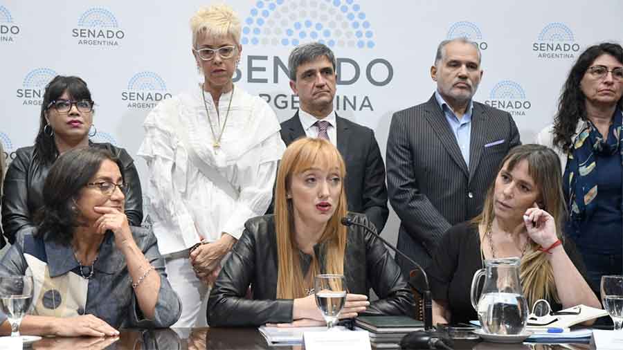 Ataque a Cristina: Senadores del Frente de Todos rechazan la decisión de no apartar a la jueza Capuchetti