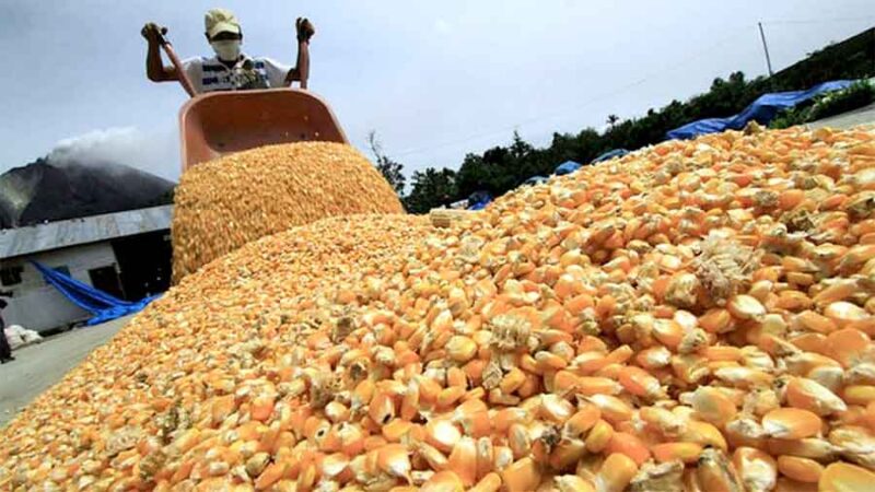 El gobierno destinará $ 15.000 millones para subsidiar a productores de soja y maíz