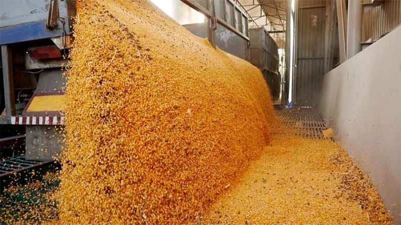 La Aduana evitó un contrabando de 150 toneladas de soja con destino a Brasil