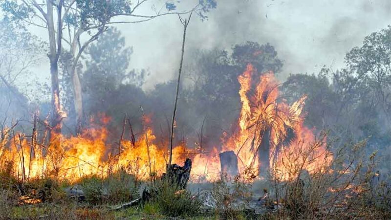 Corrientes, Entre Ríos y Chubut registran focos activos de incendios forestales