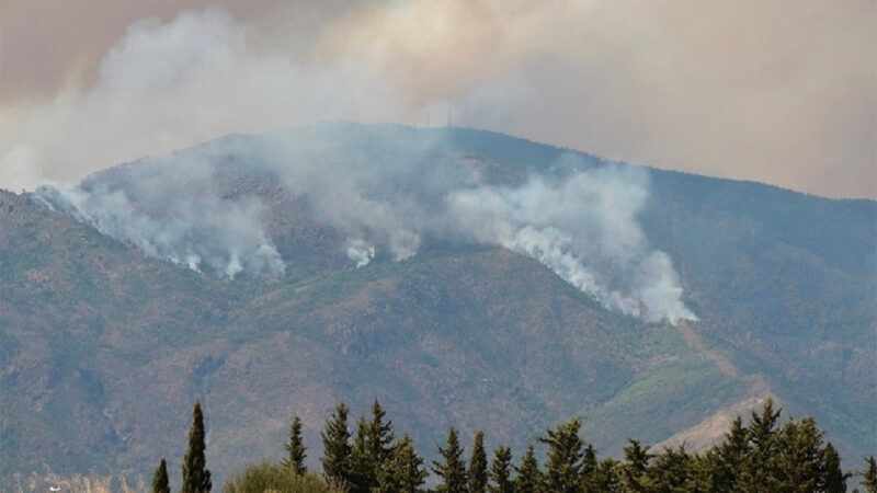 Salud respiratoria: aumenta la preocupación por los incendios forestales en todo el país