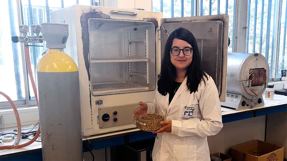 Investigadores de Conicet logran con yerba mate activar carbonos que almacenan energía