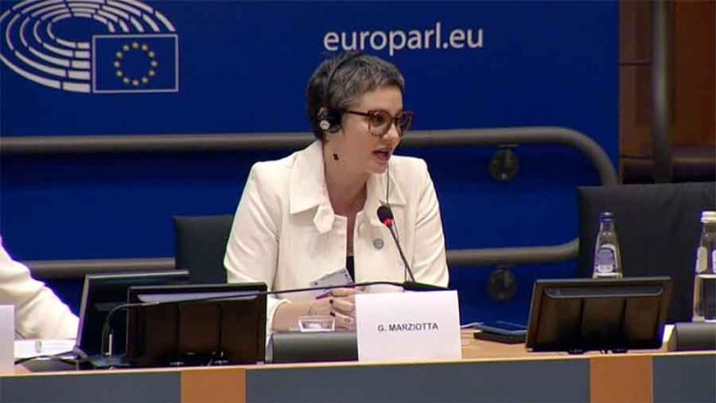 En el Parlamento Europeo, Marziotta advirtió sobre la “persecución judicial” a la Vicepresidenta