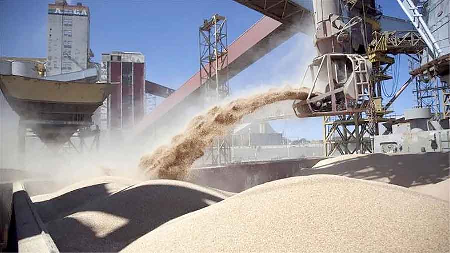 La AFIP impuso un ajuste de 3.000 millones de pesos a una empresa agroexportadora que subfacturó exportaciones