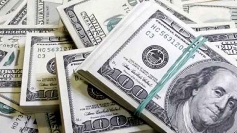 Economistas analizan las razones que llavaron al BCRA a comprar US$ 685 millones tras la devaluación