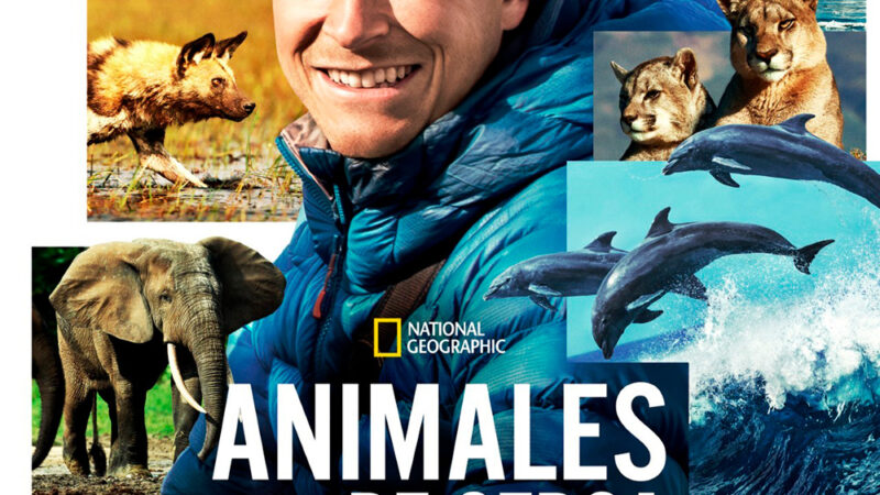 Se estrena en Disney+ le nueva serie de National Geographic “Animales de cerca con Bertie Gregory”