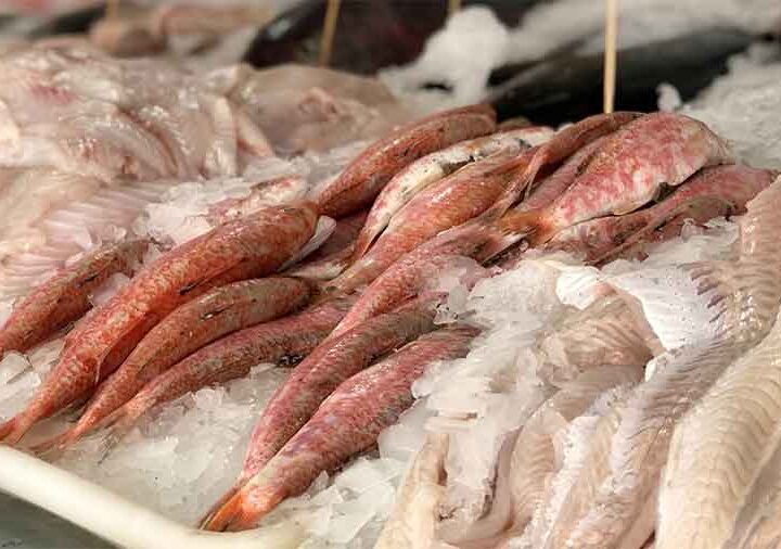 Recomendaciones del SENASA cobre consumo seguro de productos de la pesca en Semana Santa