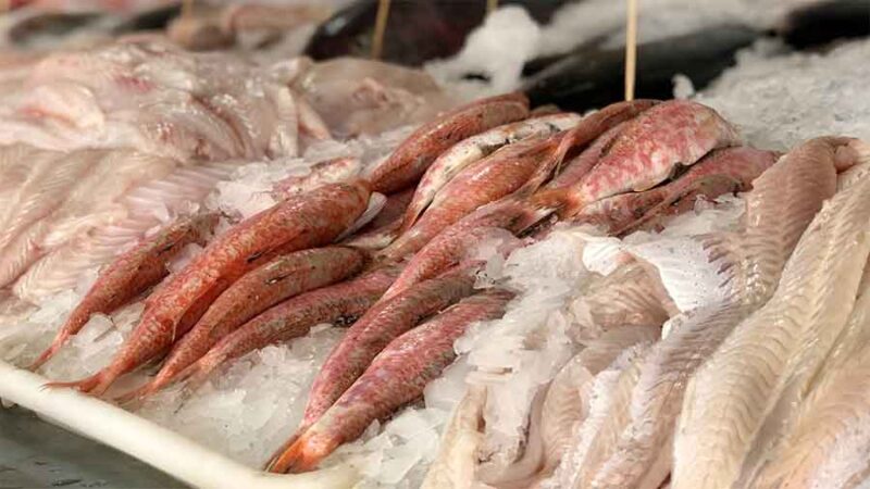 Recomendaciones del SENASA cobre consumo seguro de productos de la pesca en Semana Santa