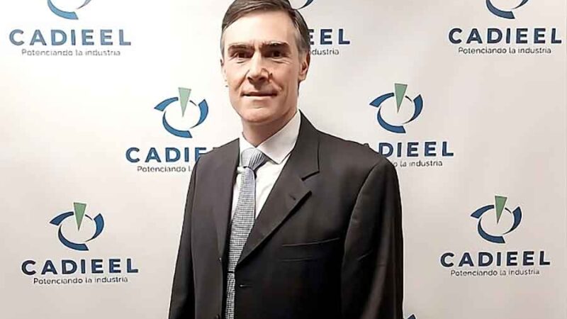 RIGI: CADIEEL pide igualdad de condiciones para la industria nacional